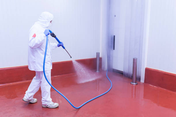 Best Roof Washing  in Menands, NY
